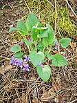 IMG_20230422_111445