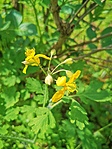 IMG_20230422_112407