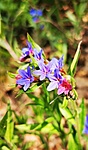 IMG_20230422_114026