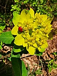 IMG_20230422_114539