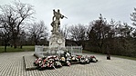 IMG_9329