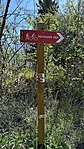 IMG_9702