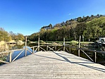 IMG_5977