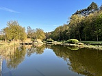 IMG_5978