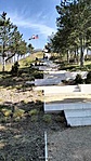 IMG20230318121230