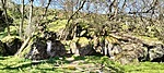 IMG20230304124412