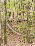 IMG_20230409_142532