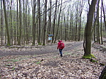 283_9131