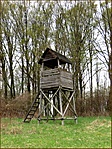 Visszafelé