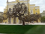 IMG_20230418_172521