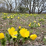 IMG_20230407_124209
