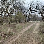 IMG_20230407_130742