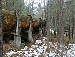 IMG_20230409_100041