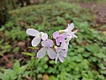 IMG_20230416_140642