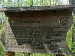 IMG_20230423_123802