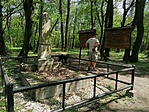 IMG_20230423_123921