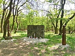 IMG_20230423_123956