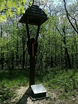 IMG_20230423_124006
