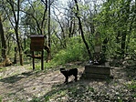 IMG_20230423_131342