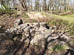 IMG_20230326_101608
