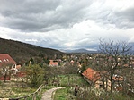 IMG_7834
