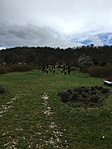IMG_7839