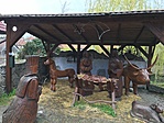 IMG_7861