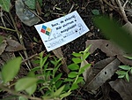 IMG_20230422_085021698_MFNR