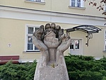 IMG_20230422_085147227_MFNR