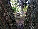 IMG_20230422_085220154_MFNR