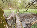 IMG_20230416_144046