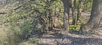 IMG_20230423_095340