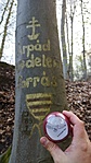 IMG_20230410_180710