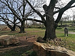 IMG_20230401_095231