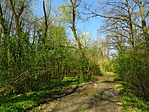 IMG_8276