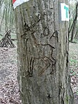 IMG_20230409_122513