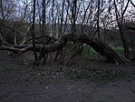 20230410_193939