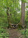 IMG_20230425_124558