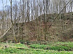 IMG20230401103506