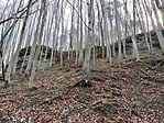 IMG20230401104003