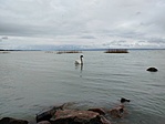 IMG20230415121127