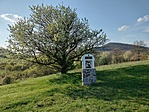 IMG20230423173440