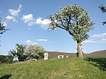 IMG20230423173529