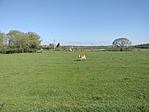 IMG20230426085550