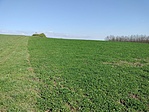 IMG20230426092700