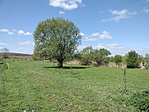IMG20230426110557
