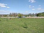 IMG20230426110929