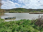csendélet