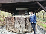IMG_20230409_145907