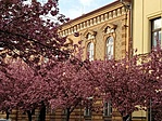 IMG_20230422_173928